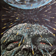 Illustration for article titled Most misleading and fanciful science fiction/fantasy movie posters ever!